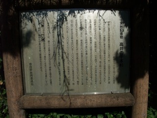 �������ܿ�������