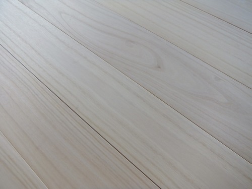 �͡ʥ���������९����ʪ�ե�����󥰣�