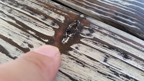 ������ơ������٥̣�