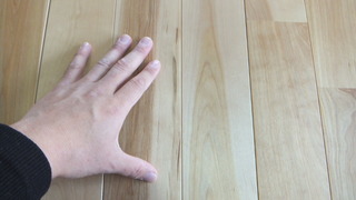 ¥ê¥Õ¥ê¡¼¥Ð¡¼¥Á¡¡£¹