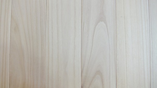 �͡ʥ���������९����ʪ�ե�����󥰣�