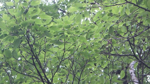 ���������९��