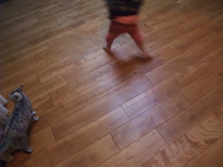 ��������С����ʳ򡦤��С˥ͥ����åɥ��졼�ɡ�Nš��