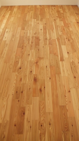 ԥ奢顼TENKARA˥ͥåɥ졼ɣ