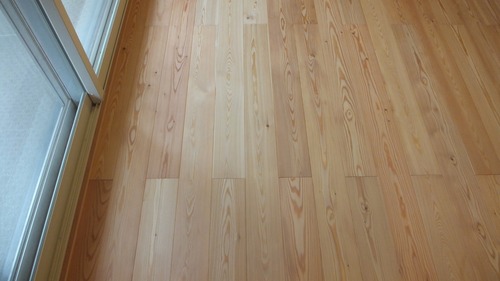 N��š�ԥ奢�顼���ե�����󥰻ܹ��̿�����