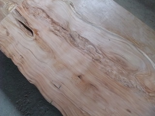 ���׿���ŷ�ġ���