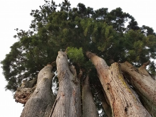 µÈÂô¤ÎÅĹâ¿ù£±