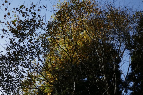 ƶ�Υ��ĥ顡22