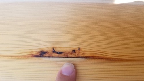 �����ʥ�̵������ʪ�����ܱ����ģ�