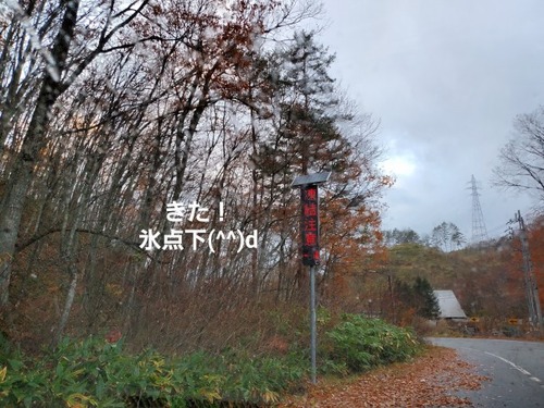 ���ͤ��־� �������ȣ�