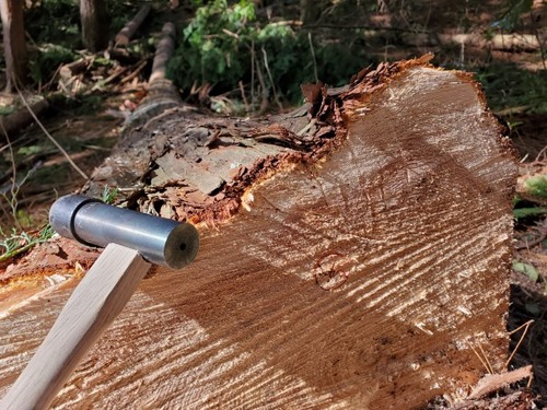 ������������������֤�����Ȳ�μ��� 2023 ��