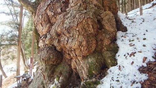 ����Υȥ�����