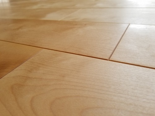 ��������С�������̵���Ĥʤ���V�¥ե�����󥰡��ץ�ߥ�����