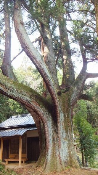 ���ɸ�ŷ���ԡ���Ƿ˷���������23