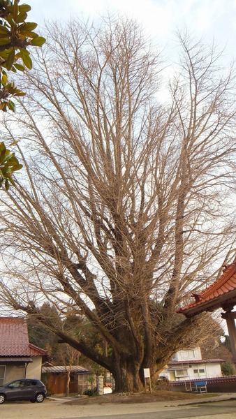 �������ζ�ɡ���