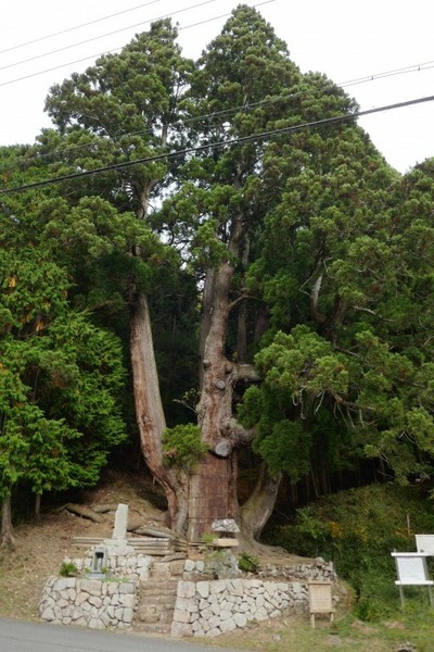 ʼ�˸�ī��� �羭������