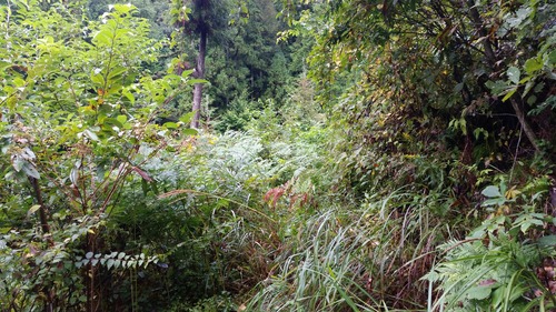 ��Ű�����ܷˣ�