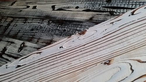 ������ơ������٥̣���