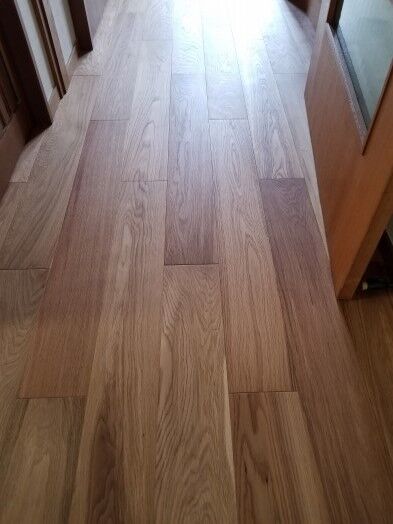 ÈÔÈÄ¥Õ¥í¡¼¥ê¥ó¥° S1¥·¥ê¡¼¥º ¥«¥¹¥¯¥ª¡¼¥¯S¡¡1