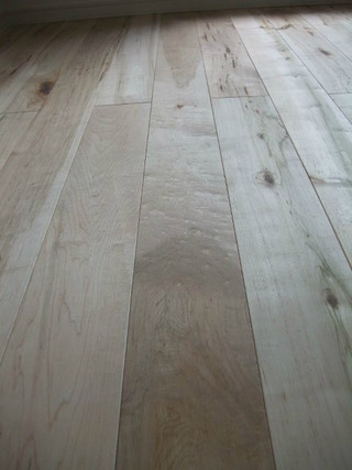 �Ĳ����ʥڥ���ƥåɥ᡼�ץ�ˡ���