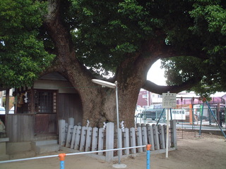 ¿åÈø¤Î¾À¡¡£²