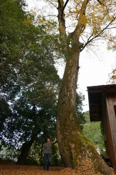 ��ë���޿��ҤΥ��䥭8