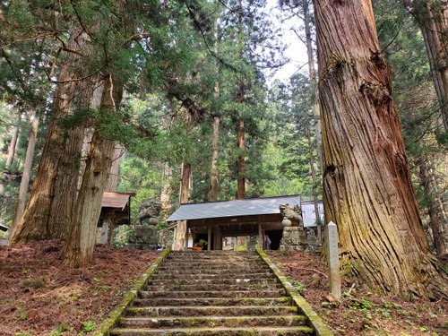 ¹Å縩¾±¸¶»Ô ·§Ìî¿À¼Ò¤ÎÏ·¿ù¡Ê¤í¤¦¤µ¤ó¡Ë¤È¿ùÂç¼ù·²£·