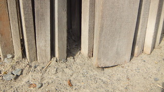 ������ˤĤ��ơ���