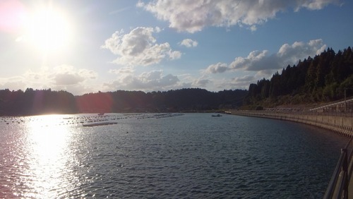 ��Ȼ����ݥ�������