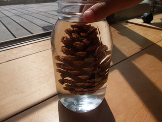 ���ܤä���ޥ��å���