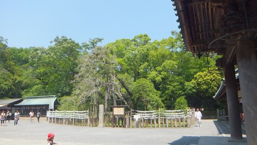 ������Ҥζ��ںԡ���