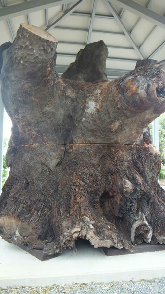 ������������