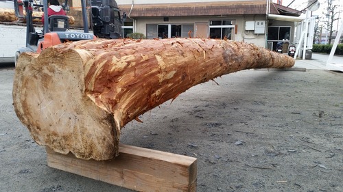 ¤´¤í¤ó¤Ü£³