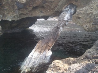 �纬���Ⱥ����η����ڡ�����