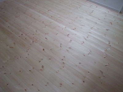 ËÌÍÎÀÖ¾¾¡Ê¥ì¥Ã¥É¥Ñ¥¤¥ó¡Ë̵¹¤¥Õ¥í¡¼¥ê¥ó¥°¡¡»Ü¹©£±