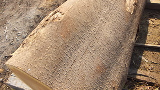 ¶ÌÄØ¸¶ÌÚ¡¡£²