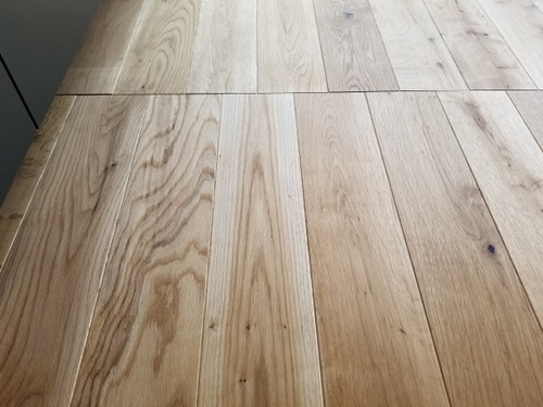 ������ʤ�����礦�ʤ�˰���ʪ�ե�����󥰣�