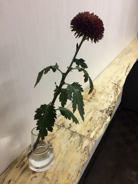 ¤Ö¤Ê¥¹¥Ý¥ë¥Æ¥Ã¥É¡¡»Ü¹©£²