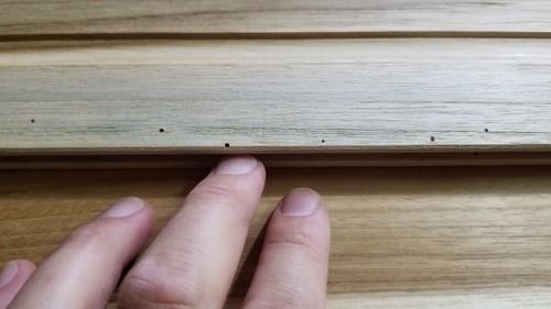 �ͥ��������������̵������ʪ�ե������ 9