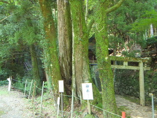 �г��ηˡ���