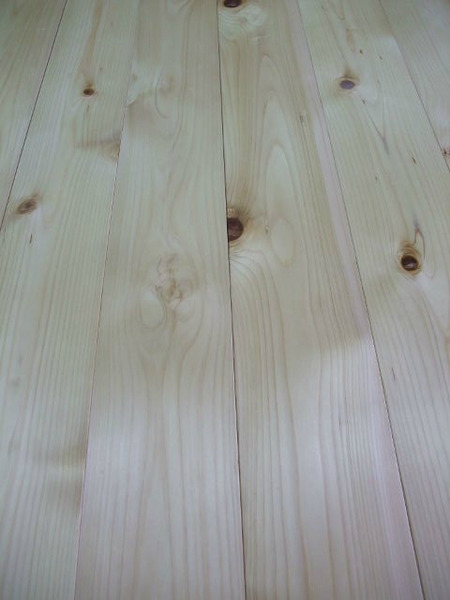 ǽÅÐ¥¢¥Æ¡Ê¤Ò¤Ð¡¦¤Ò¤Î¤¤¢¤¹¤Ê¤í¡ËÉý¹Ìµ¹¤°ìËçʪ¥Õ¥í¡¼¥ê¥ó¥°¡¡2