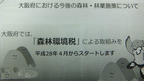 ���ӴĶ��ǣ�