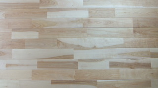 ¥ê¥Õ¥ê¡¼¥Ð¡¼¥Á¡¡£¶