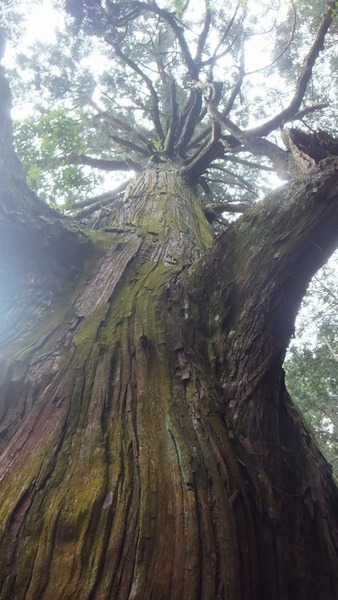 �۶����������ŷ�����