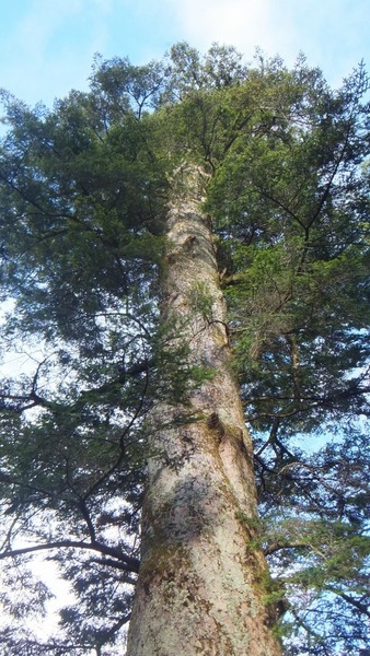 Äɼê¿À¼Ò¤ÎÀéǯ¥â¥ß£´