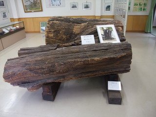 ��֤��礱�䤭����