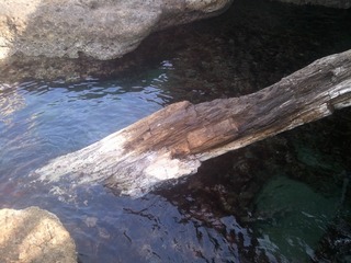 �纬���Ⱥ����η����ڡ���