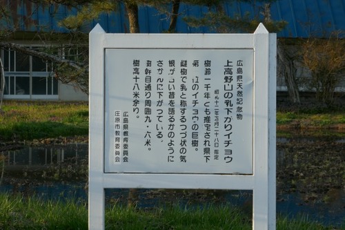 ���縩������ �����������ꥤ���祦16