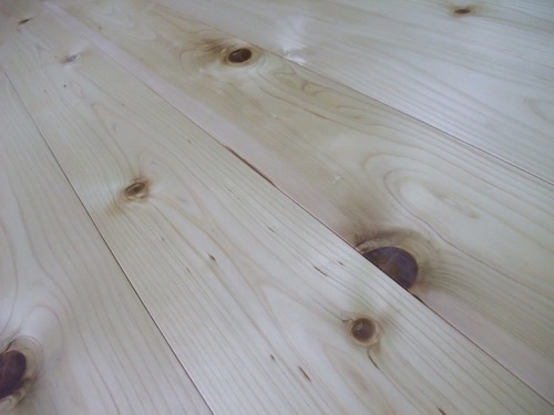 ǽÅÐ¥¢¥Æ¡Ê¤Ò¤Ð¡¦¤Ò¤Î¤¤¢¤¹¤Ê¤í¡ËÉý¹Ìµ¹¤°ìËçʪ¥Õ¥í¡¼¥ê¥ó¥°¡¡£¶