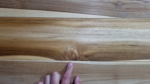 �ͥ��������������̵������ʪ�ե������ 10